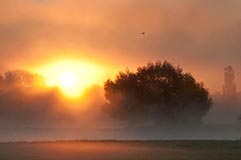 Sonnenaufgang - Zum Vergroessern klicken!